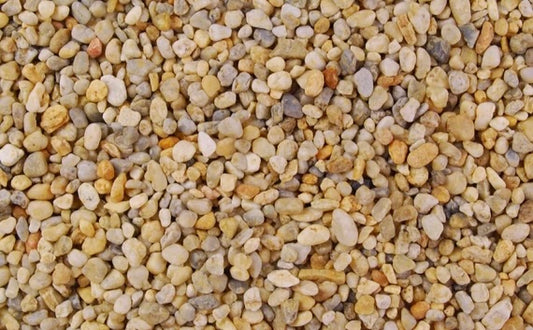 Rosa Corallo